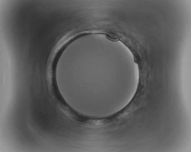 X0000115100295200911241239