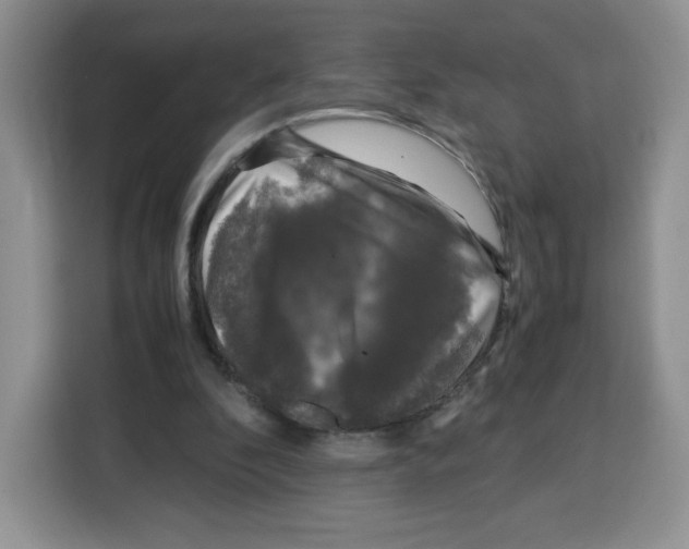 X0000115100296200911241239