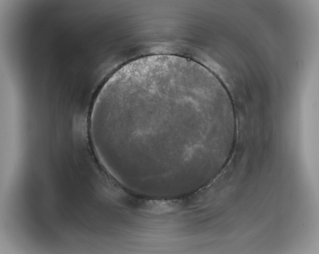 X0000115100297200911241239