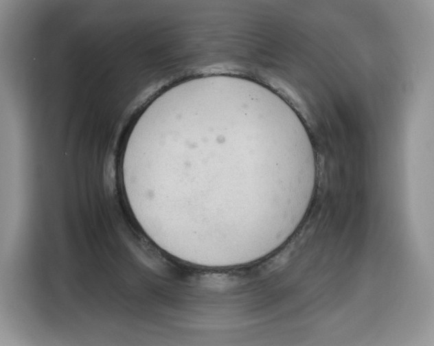 X0000115100298200911241239