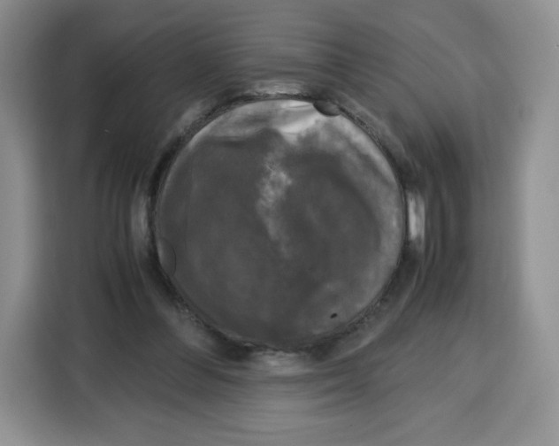 X0000115100300200911241239