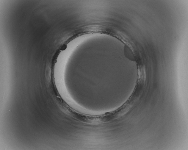 X0000115100301200911241239