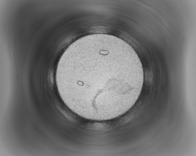 X0000115100302200911241239