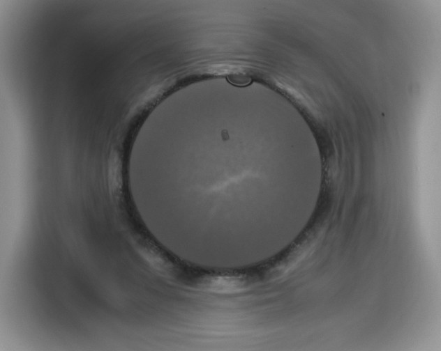 X0000115100303200911241239