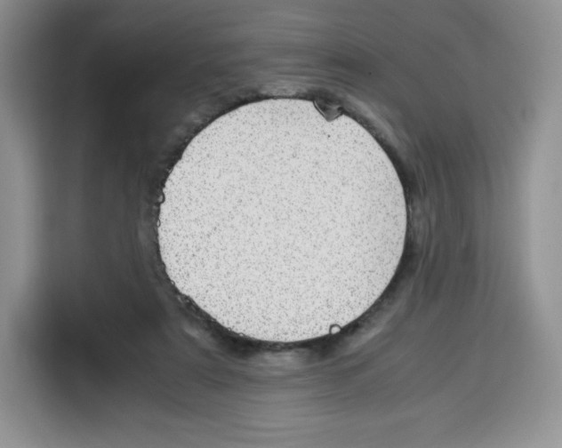 X0000115100307200911241239