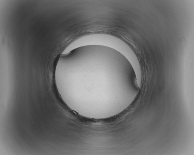 X0000115100309200911241239