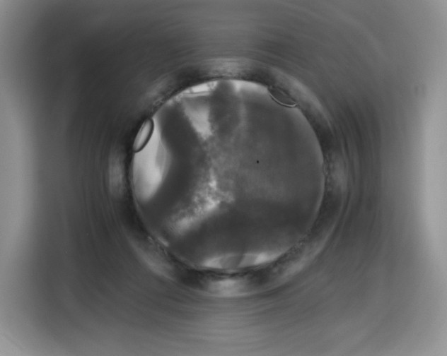 X0000115100312200911241239