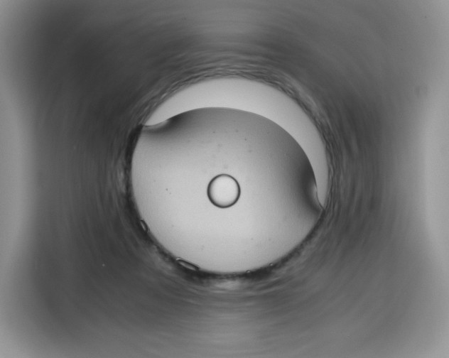 X0000115100313200911241239