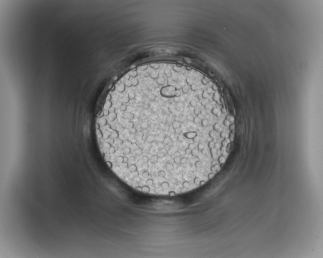 X0000115100315200911241239