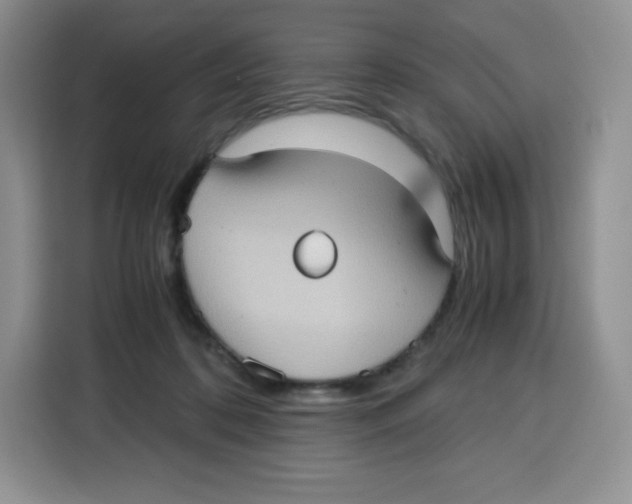 X0000115100316200911241239