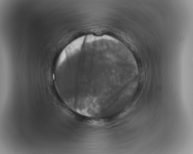 X0000115100317200911241239