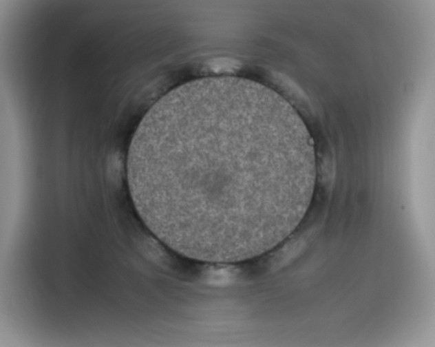 X0000115100321200911241239