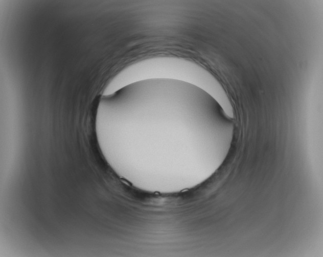 X0000115100323200911241239