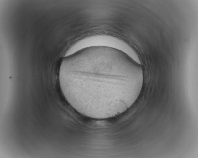 X0000115100324200911241239