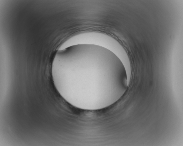 X0000115100325200911241238