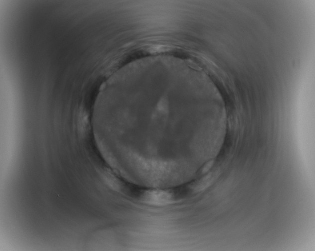 X0000115100327200911241238