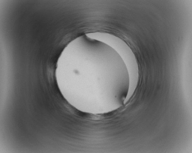 X0000115100333200911241238