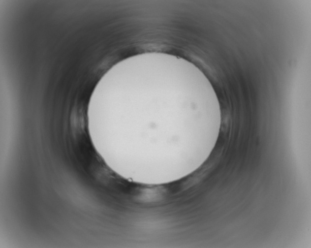 X0000115100334200911241238