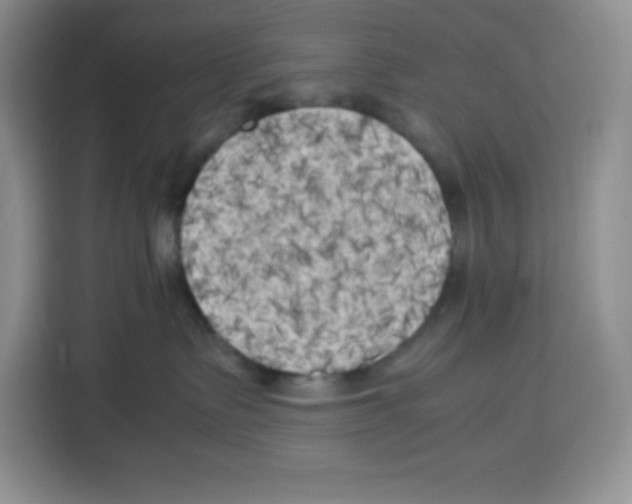 X0000115100335200911241238