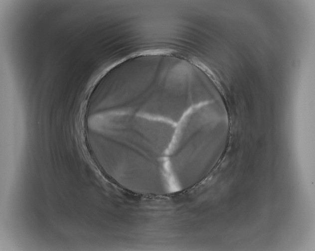 X0000115100337200911241238