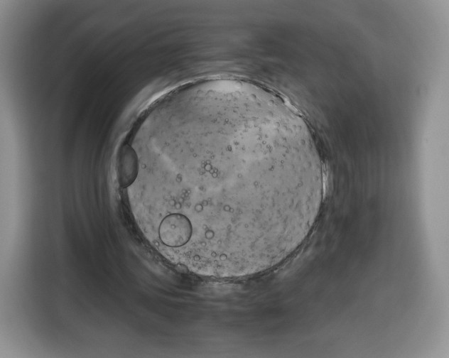 X0000115100339200911241238