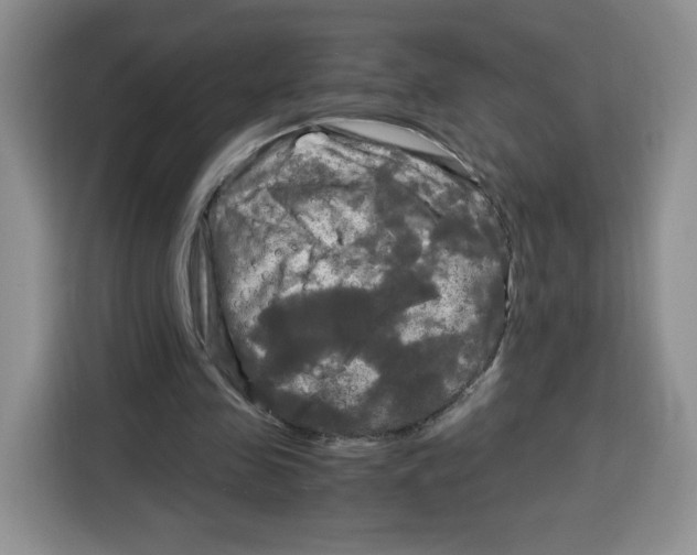 X0000115100341200911241238