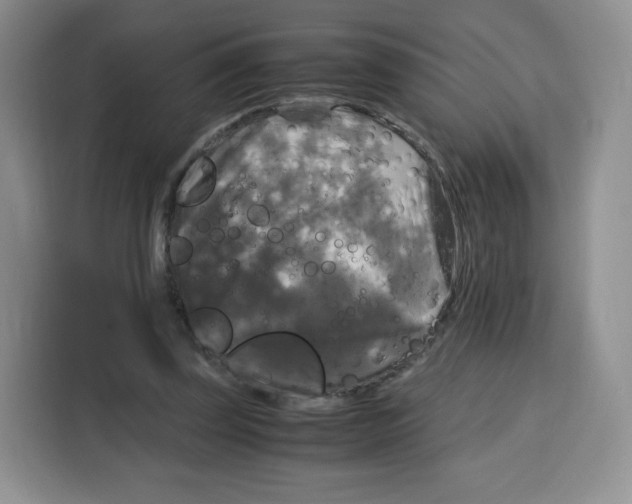 X0000115100347200911241238