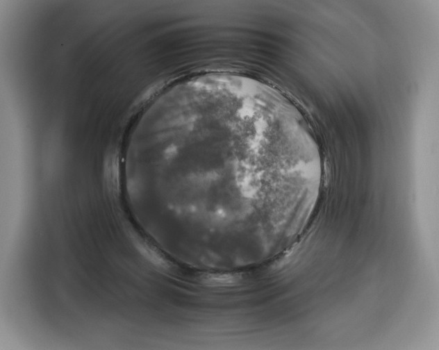 X0000115100349200911241238