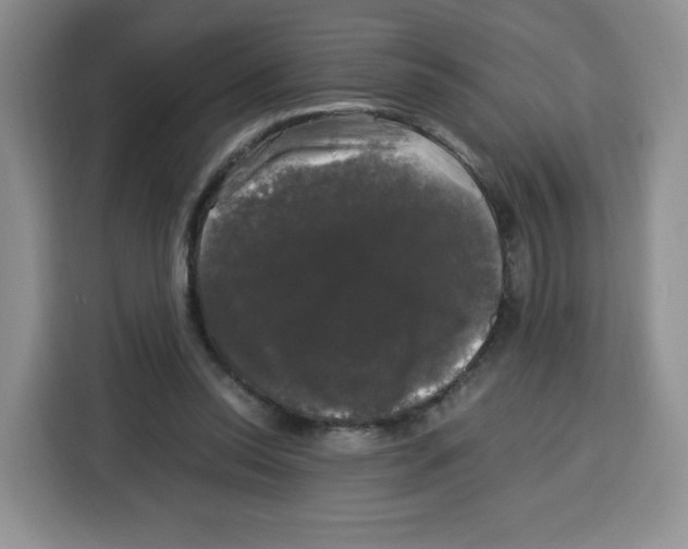 X0000115100350200911241238