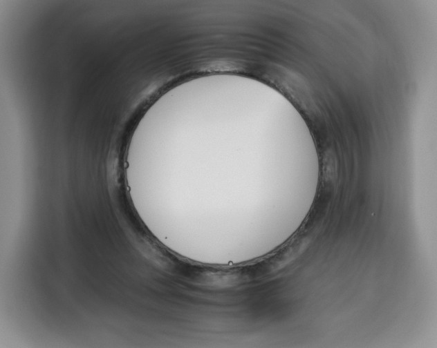 X0000115100351200911241238