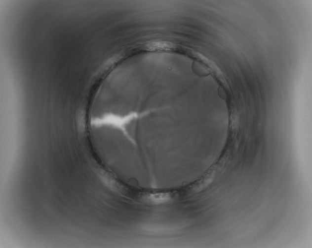 X0000115100353200911241238