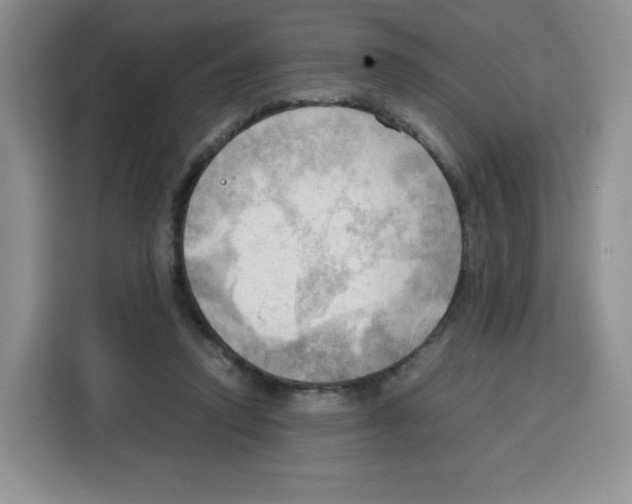 X0000115100354200911241238