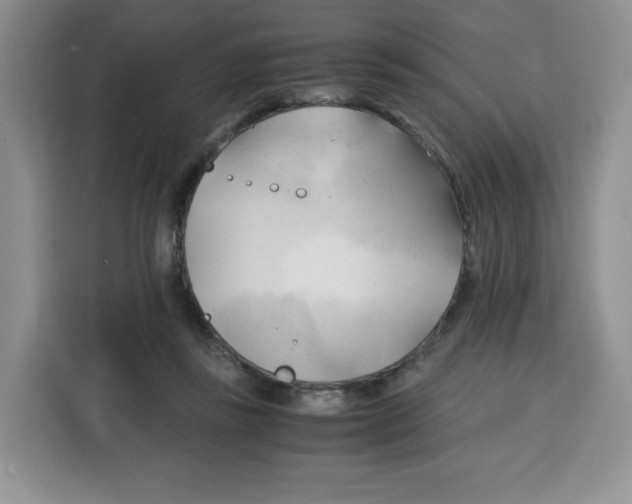 X0000115100355200911241238