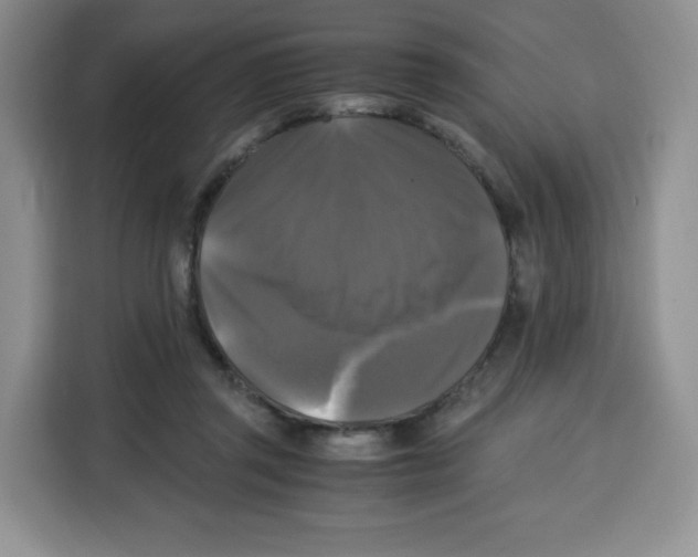 X0000115100357200911241238