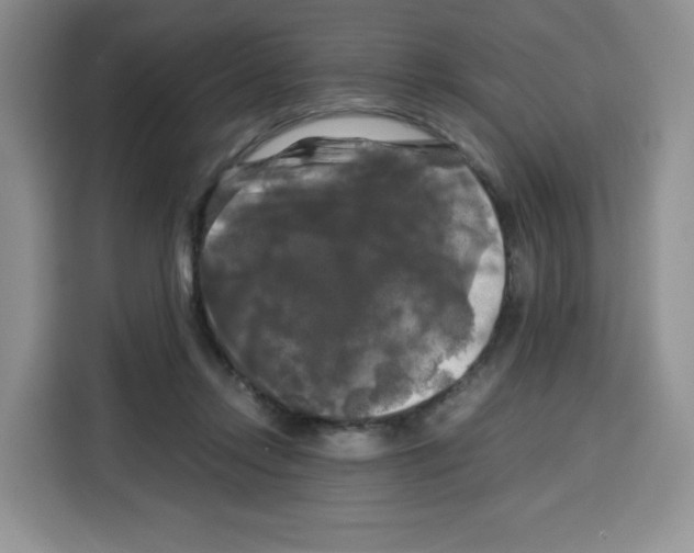 X0000115100358200911241238