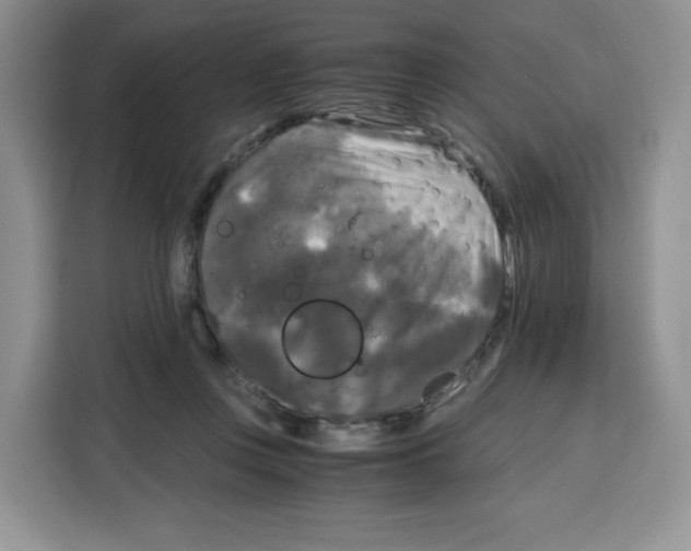 X0000115100359200911241238