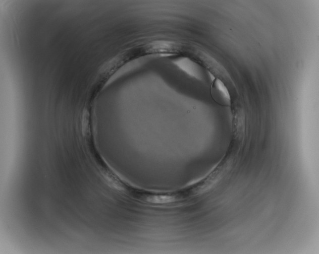 X0000115100361200911241238