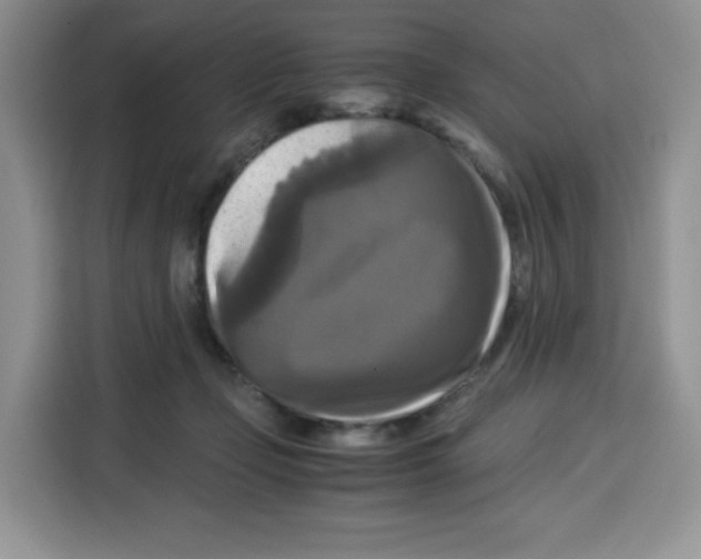 X0000115100365200911241238