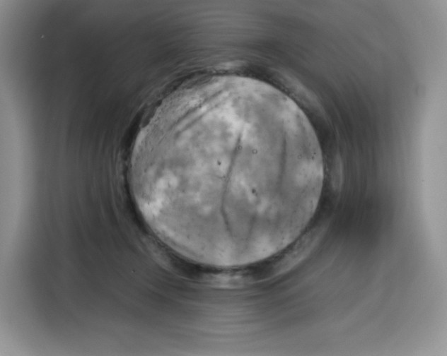 X0000115100366200911241238