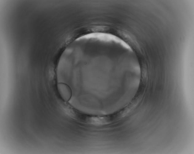 X0000115100367200911241238