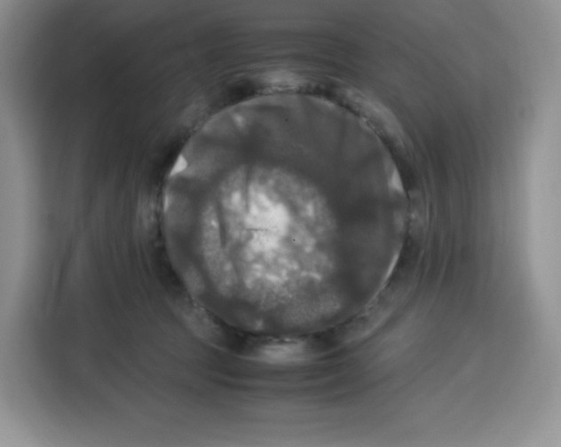 X0000115100369200911241238