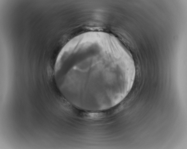 X0000115100371200911241238