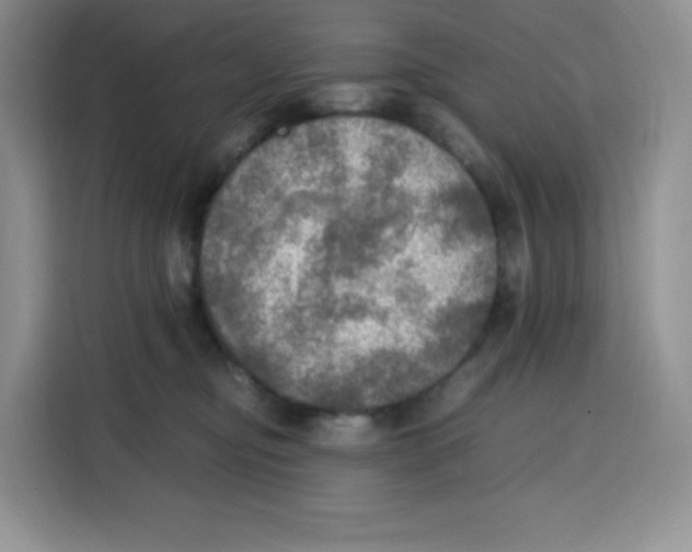 X0000115100374200911241238