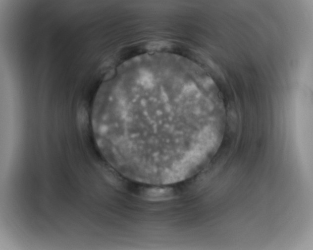 X0000115100375200911241238