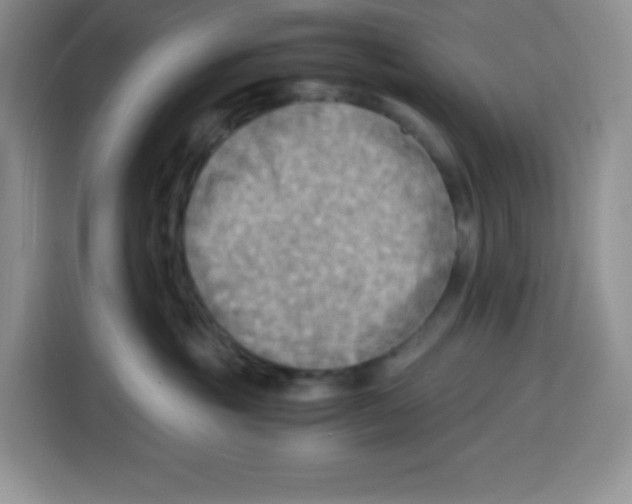 X0000115100381200911241238