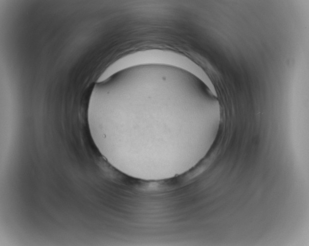 X0000115100382200911241238