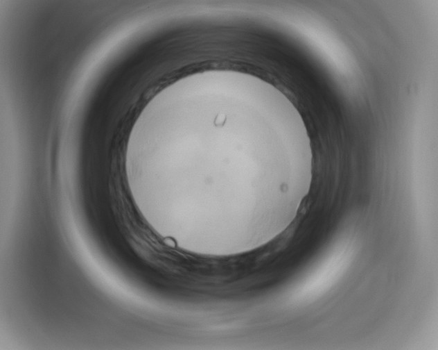 X0000115100383200911241238