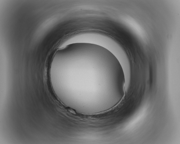 X0000115100387200911241238