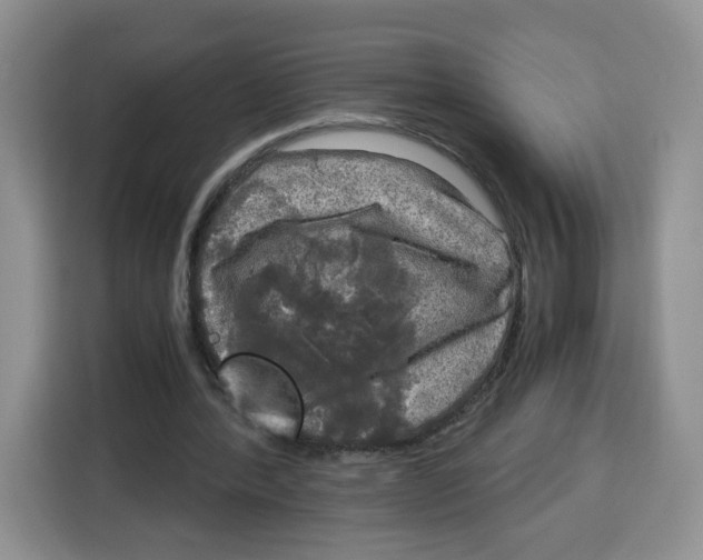 X0000115100388200911241238