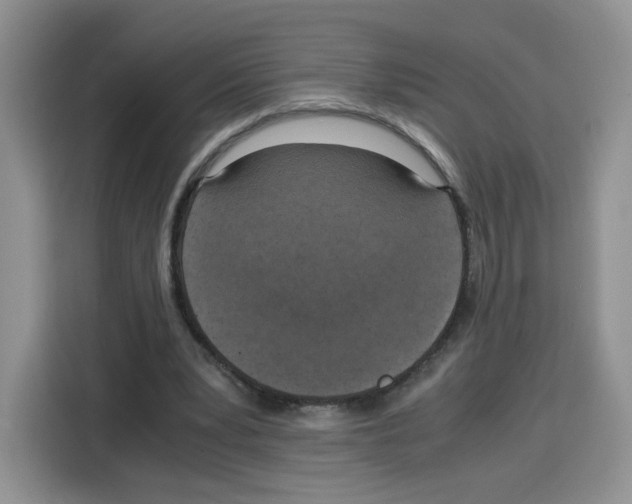 X0000115100391200911241238